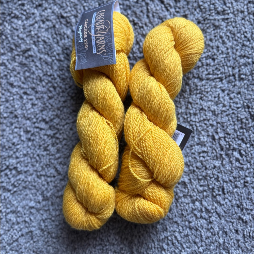Cascade 220 Fingering Yarn (2 skeins)
